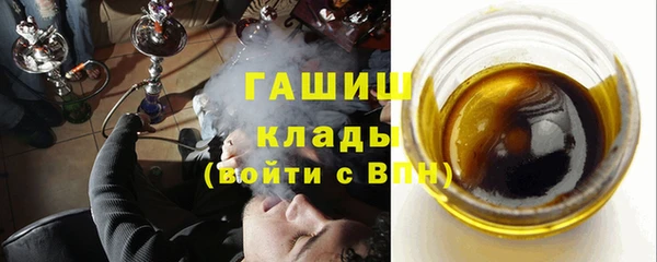 гидра Няндома