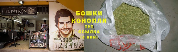 spice Осинники