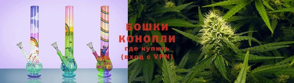 spice Осинники
