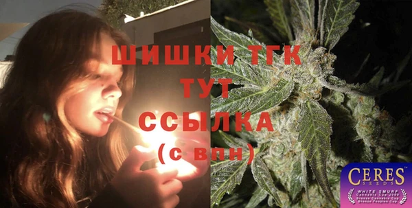 spice Осинники