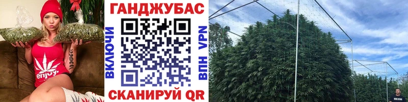 Купить закладки  Шадринск  Канабис THC 21% 